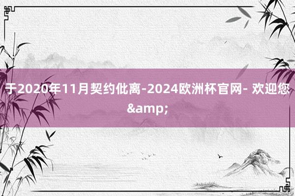 于2020年11月契约仳离-2024欧洲杯官网- 欢迎您&