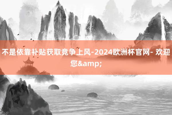 不是依靠补贴获取竞争上风-2024欧洲杯官网- 欢迎您&