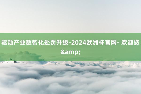 驱动产业数智化处罚升级-2024欧洲杯官网- 欢迎您&