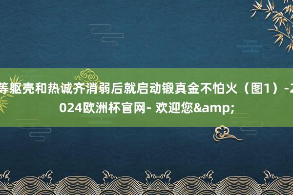 等躯壳和热诚齐消弱后就启动锻真金不怕火（图1）-2024欧洲杯官网- 欢迎您&