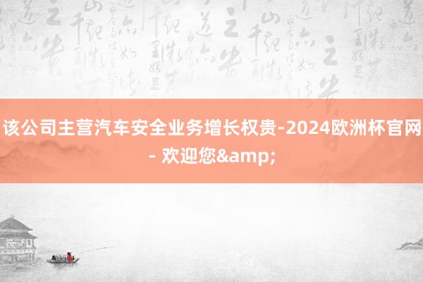 该公司主营汽车安全业务增长权贵-2024欧洲杯官网- 欢迎您&