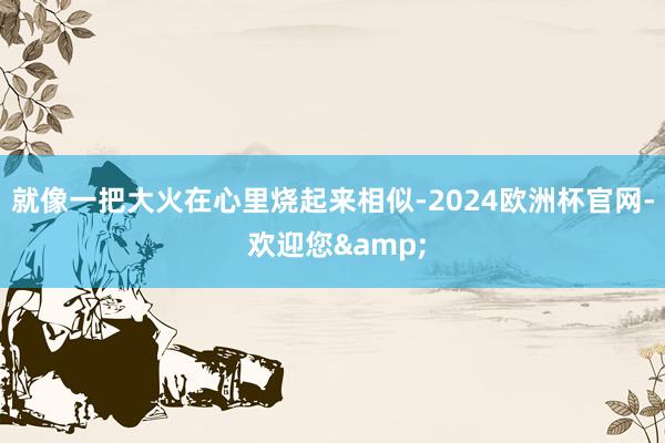 就像一把大火在心里烧起来相似-2024欧洲杯官网- 欢迎您&