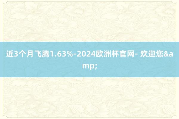 近3个月飞腾1.63%-2024欧洲杯官网- 欢迎您&