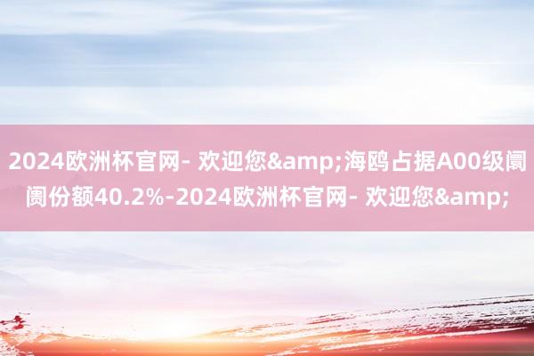 2024欧洲杯官网- 欢迎您&海鸥占据A00级阛阓份额40.2%-2024欧洲杯官网- 欢迎您&