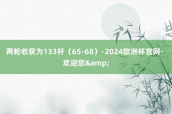 两轮收获为133杆（65-68）-2024欧洲杯官网- 欢迎您&