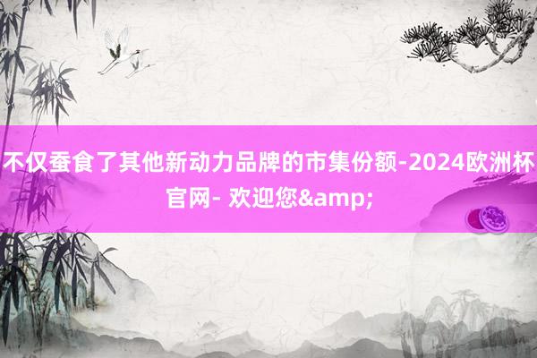 不仅蚕食了其他新动力品牌的市集份额-2024欧洲杯官网- 欢迎您&