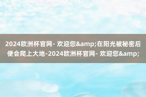 2024欧洲杯官网- 欢迎您&在阳光被秘密后便会爬上大地-2024欧洲杯官网- 欢迎您&