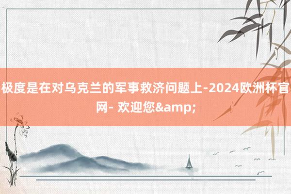 极度是在对乌克兰的军事救济问题上-2024欧洲杯官网- 欢迎您&