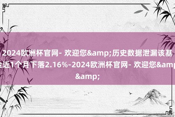 2024欧洲杯官网- 欢迎您&历史数据泄漏该基金近1个月下落2.16%-2024欧洲杯官网- 欢迎您&