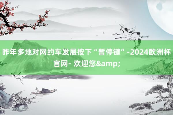 昨年多地对网约车发展按下“暂停键”-2024欧洲杯官网- 欢迎您&