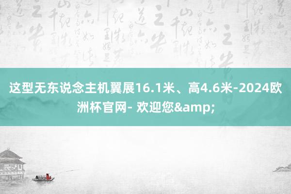 这型无东说念主机翼展16.1米、高4.6米-2024欧洲杯官网- 欢迎您&