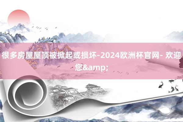 很多房屋屋顶被掀起或损坏-2024欧洲杯官网- 欢迎您&