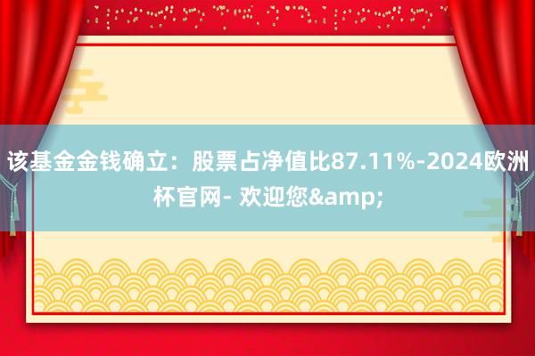 该基金金钱确立：股票占净值比87.11%-2024欧洲杯官网- 欢迎您&