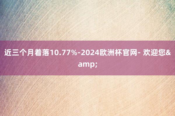 近三个月着落10.77%-2024欧洲杯官网- 欢迎您&